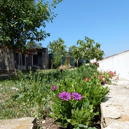 Casa vacanze Dal Catta Casa Stella